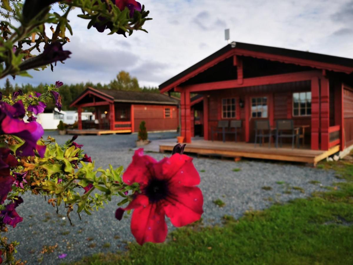 First Camp Bo - Telemark Bo (Telemark) Eksteriør billede